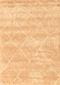 Trellis Brown Modern Rug, con2989brn