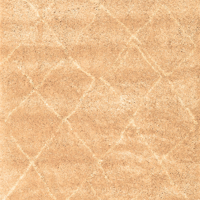 Trellis Brown Modern Rug, con2989brn