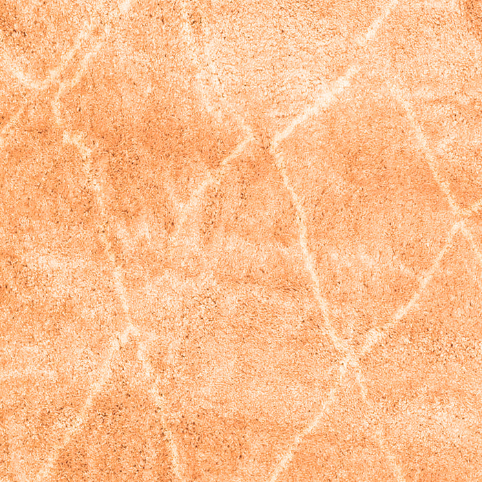 Trellis Orange Modern Rug, con2990org