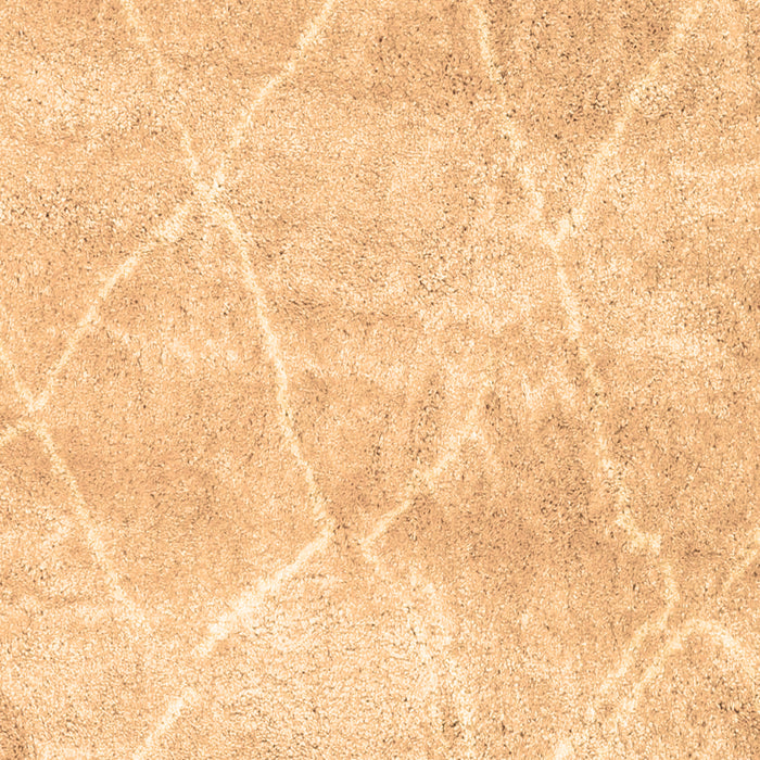 Machine Washable Trellis Brown Modern Rug, wshcon2990brn