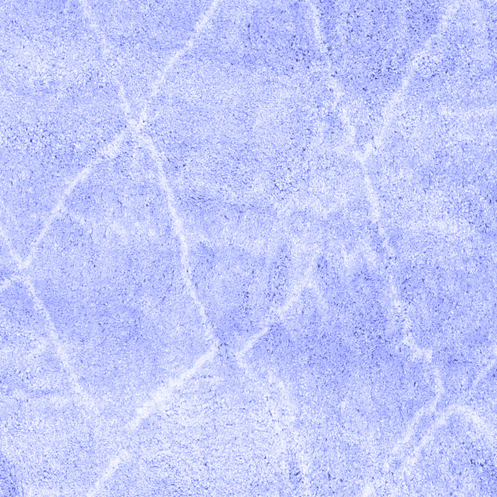 Trellis Blue Modern Rug, con2990blu