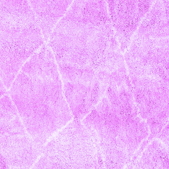 Trellis Purple Modern Rug, con2990pur