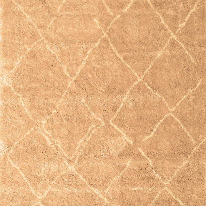 Machine Washable Trellis Brown Modern Rug, wshcon2992brn