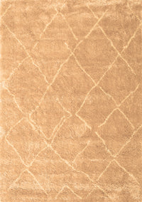 Trellis Brown Modern Rug, con2992brn