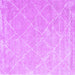 Square Trellis Purple Modern Rug, con2992pur