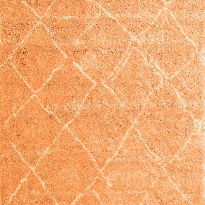 Serging Thickness of Machine Washable Trellis Orange Modern Area Rugs, wshcon2992org