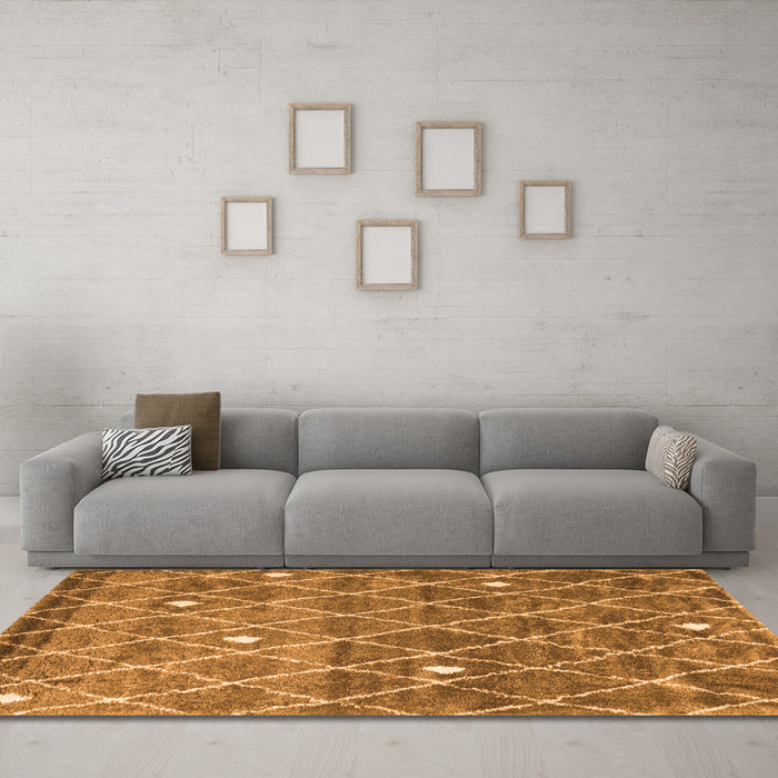 Machine Washable Trellis Orange Modern Area Rugs in a Living Room, wshcon2993org
