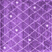 Square Trellis Purple Modern Rug, con2993pur