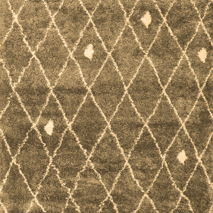 Trellis Brown Modern Rug, con2993brn