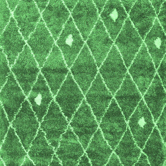 Trellis Emerald Green Modern Rug, con2993emgrn