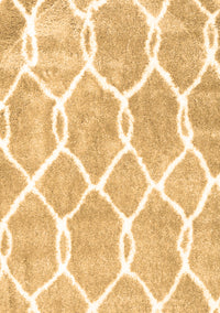 Trellis Brown Modern Rug, con2994brn