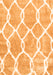 Trellis Orange Modern Rug, con2994org