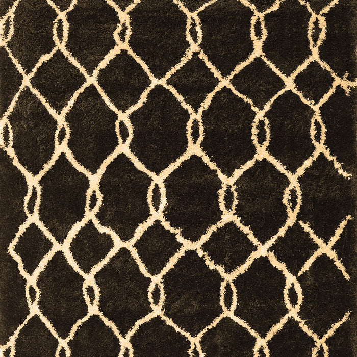 Machine Washable Trellis Brown Modern Rug, wshcon2995brn