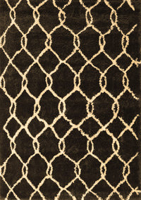 Trellis Brown Modern Rug, con2995brn