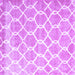 Square Trellis Purple Modern Rug, con2996pur