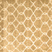 Square Trellis Brown Modern Rug, con2996brn