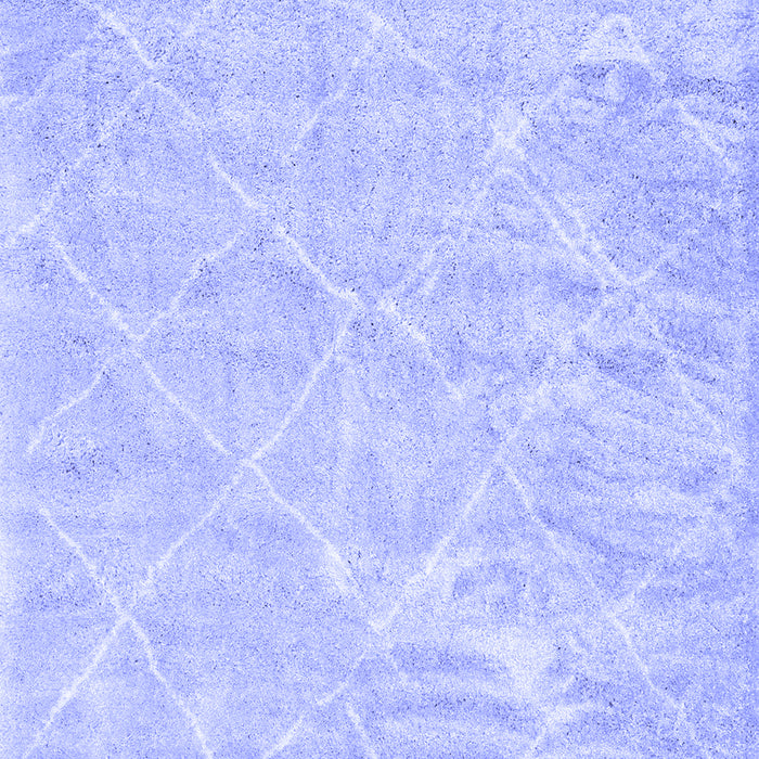 Machine Washable Trellis Blue Modern Rug, wshcon2997blu