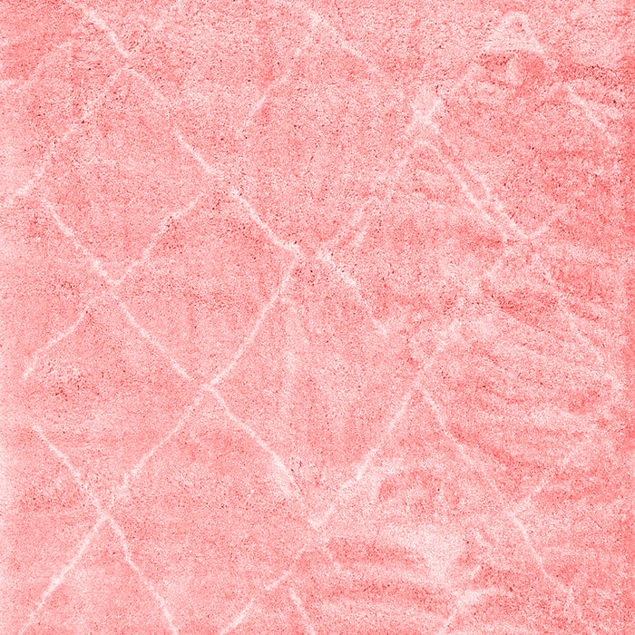 Machine Washable Trellis Red Modern Rug, wshcon2997red