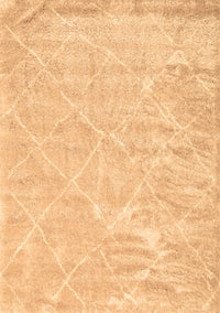 Trellis Brown Modern Rug, con2997brn