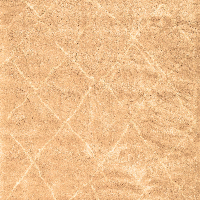 Trellis Brown Modern Rug, con2997brn