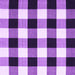 Square Checkered Purple Modern Rug, con3015pur