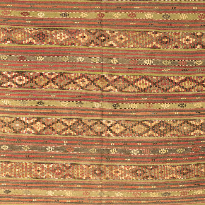 Oriental Brown Traditional Rug, con3019brn