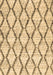 Machine Washable Trellis Brown Modern Rug, wshcon3020brn