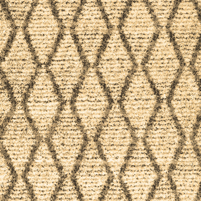 Machine Washable Trellis Brown Modern Rug, wshcon3020brn