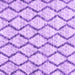 Square Trellis Purple Modern Rug, con3020pur