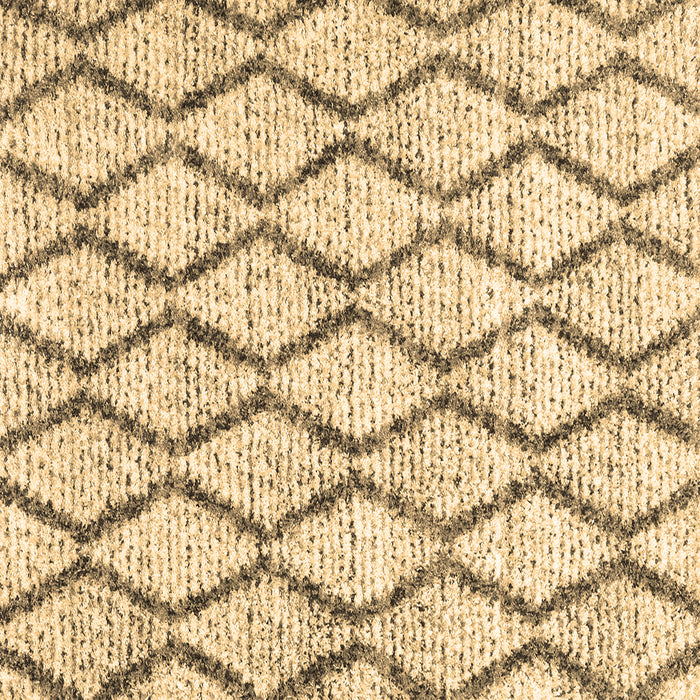 Square Machine Washable Trellis Brown Modern Rug, wshcon3020brn