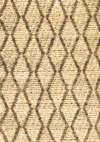 Trellis Brown Modern Rug, con3020brn