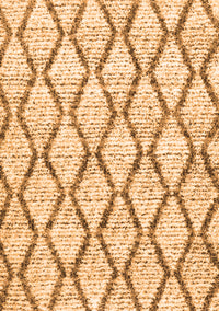 Trellis Orange Modern Rug, con3020org