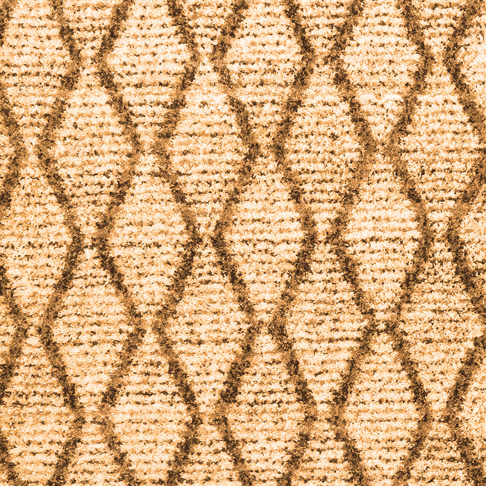 Trellis Orange Modern Rug, con3020org