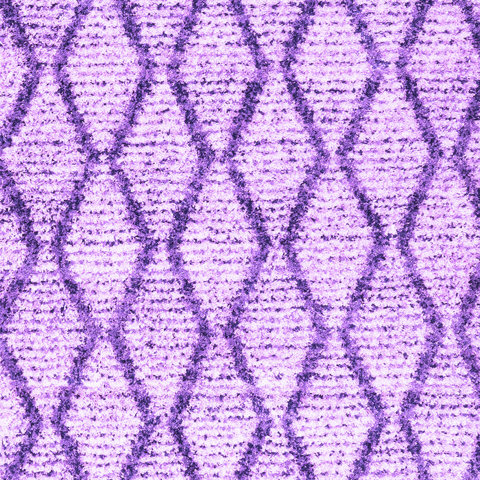 Machine Washable Trellis Purple Modern Area Rugs, wshcon3020pur