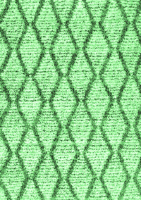 Trellis Emerald Green Modern Rug, con3020emgrn