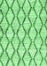 Trellis Emerald Green Modern Rug, con3020emgrn