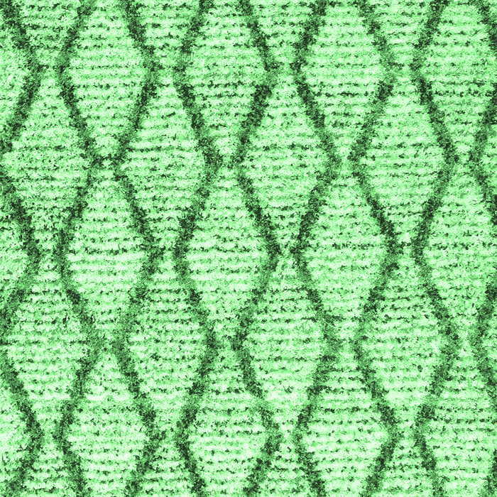 Trellis Emerald Green Modern Rug, con3020emgrn