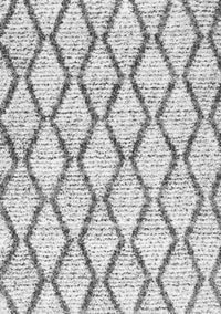 Trellis Gray Modern Rug, con3020gry