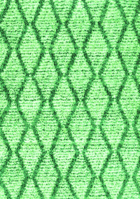 Trellis Green Modern Rug, con3020grn