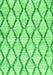 Trellis Green Modern Rug, con3020grn