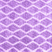 Square Machine Washable CON3022X Purple CON3022X Area Rugs, wshcon3022pur