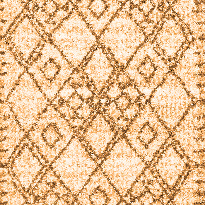 Abstract Orange Contemporary Rug, con3025org