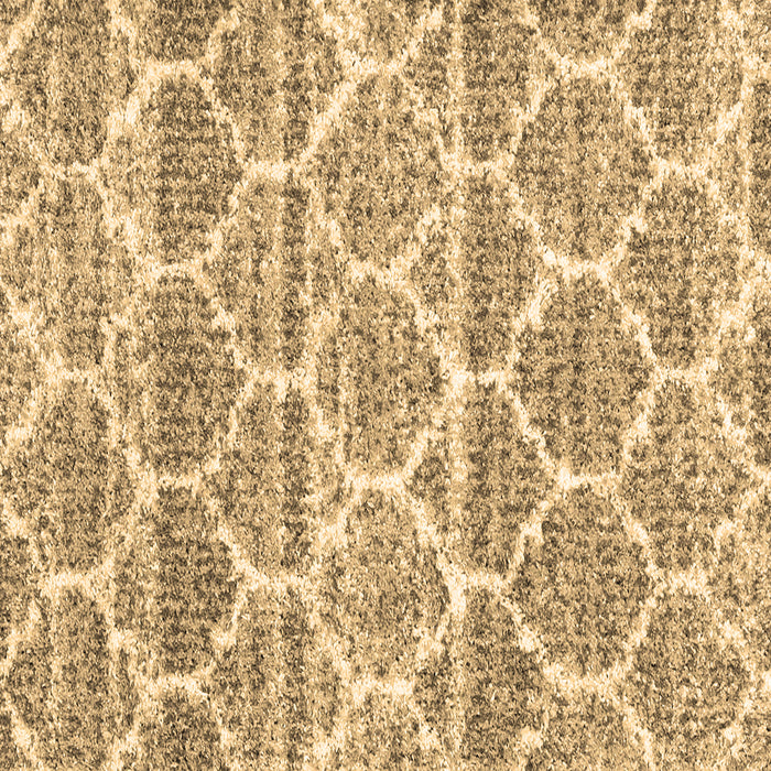 Square Machine Washable Trellis Brown Modern Rug, wshcon3026brn