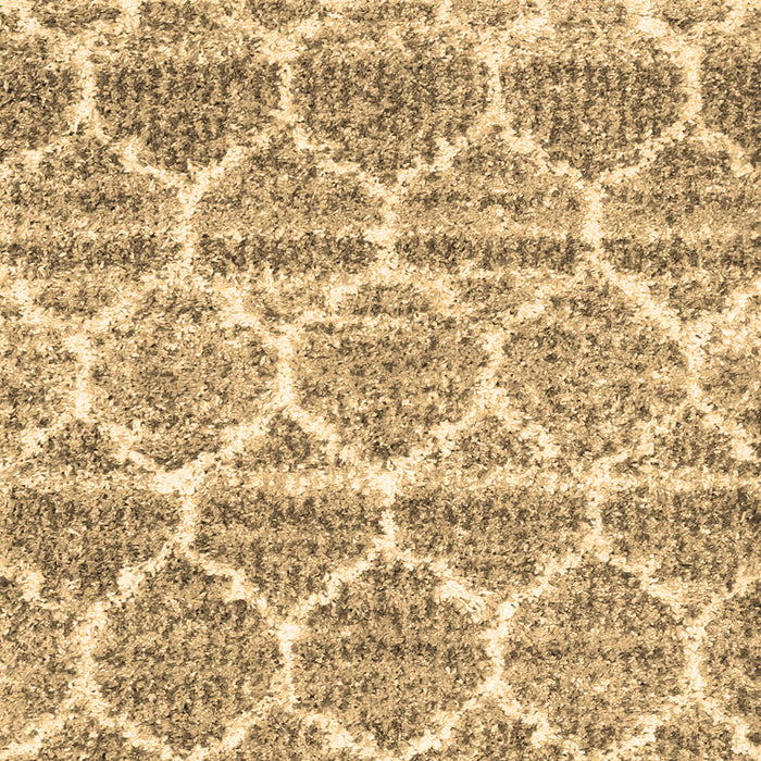 Machine Washable Trellis Brown Modern Rug, wshcon3026brn