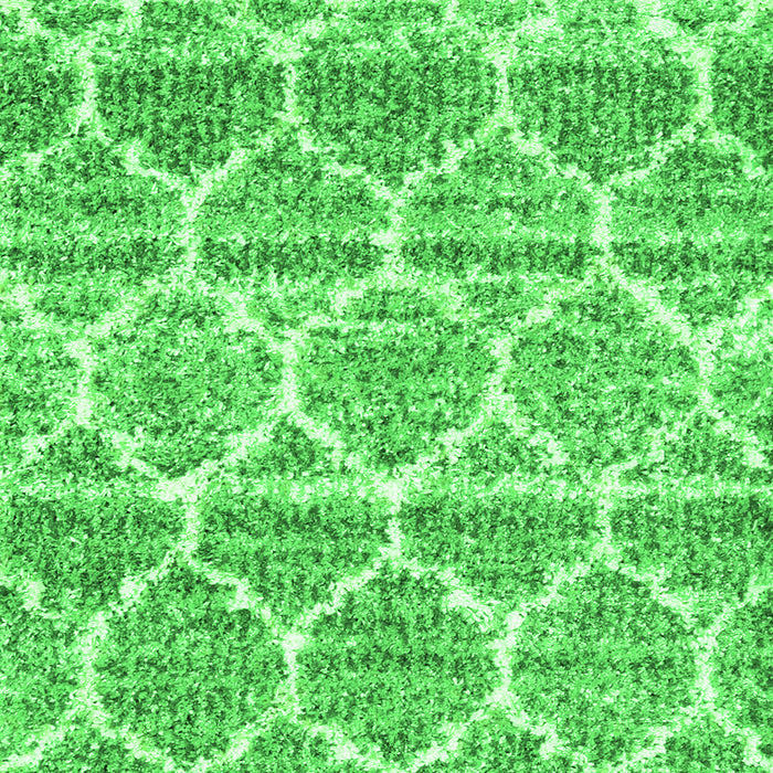 Trellis Green Modern Rug, con3026grn