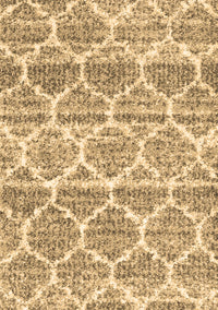 Trellis Brown Modern Rug, con3026brn