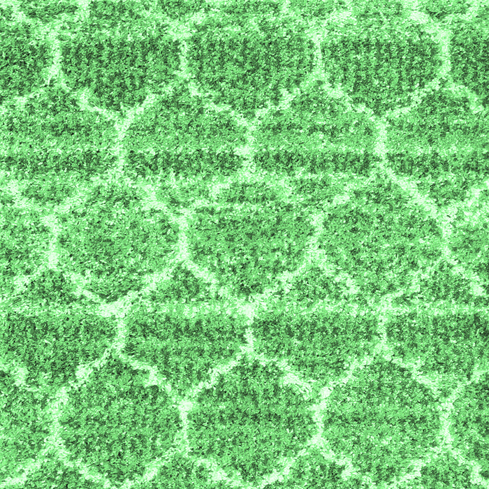 Machine Washable Trellis Emerald Green Modern Area Rugs, wshcon3026emgrn