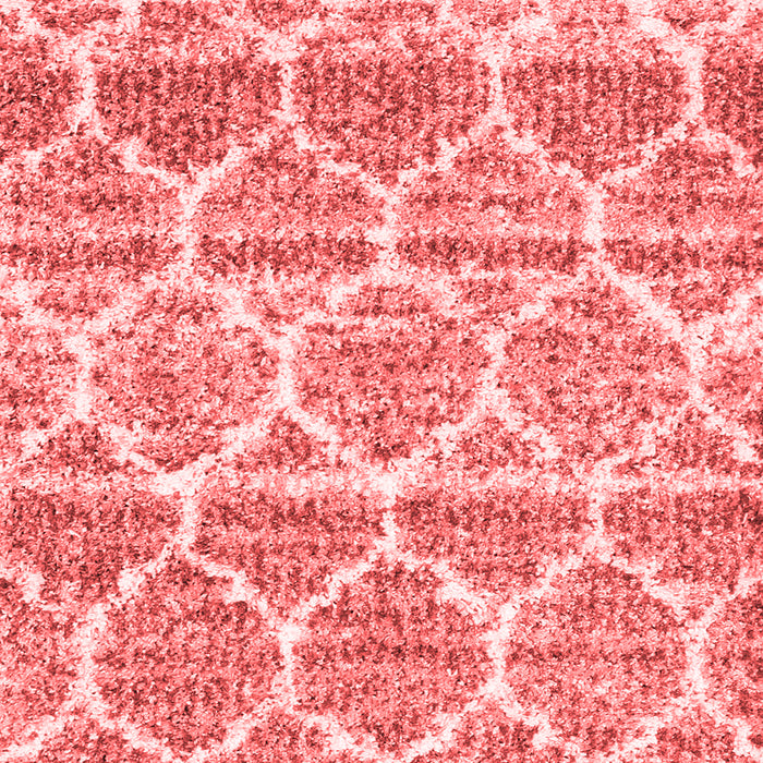 Machine Washable Trellis Red Modern Rug, wshcon3026red