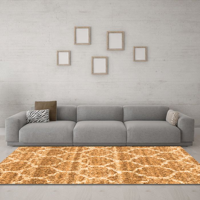 Machine Washable Trellis Orange Modern Area Rugs in a Living Room, wshcon3026org