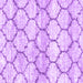 Square Machine Washable Trellis Purple Modern Area Rugs, wshcon3027pur